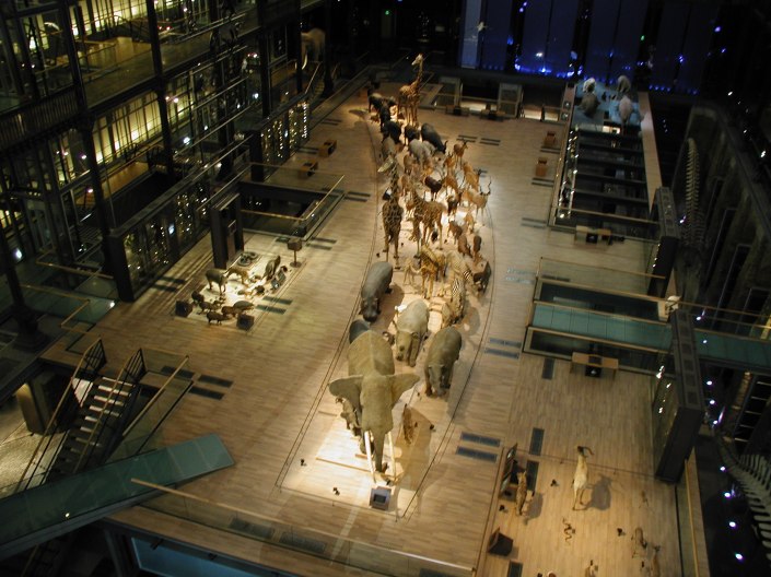 Vista Grande Galerie