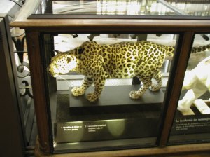 Socle MDF laqué noir mat