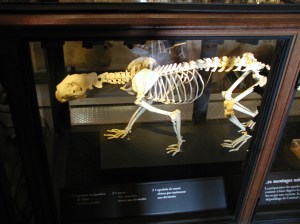 Socle MDF laqué noir